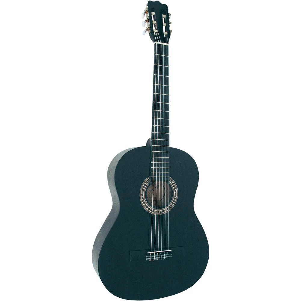 Koncertna gitara C21 slika