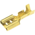 Plosnata utična čahura, neizolirana 2,8 x 0,8 mm Vogt slika