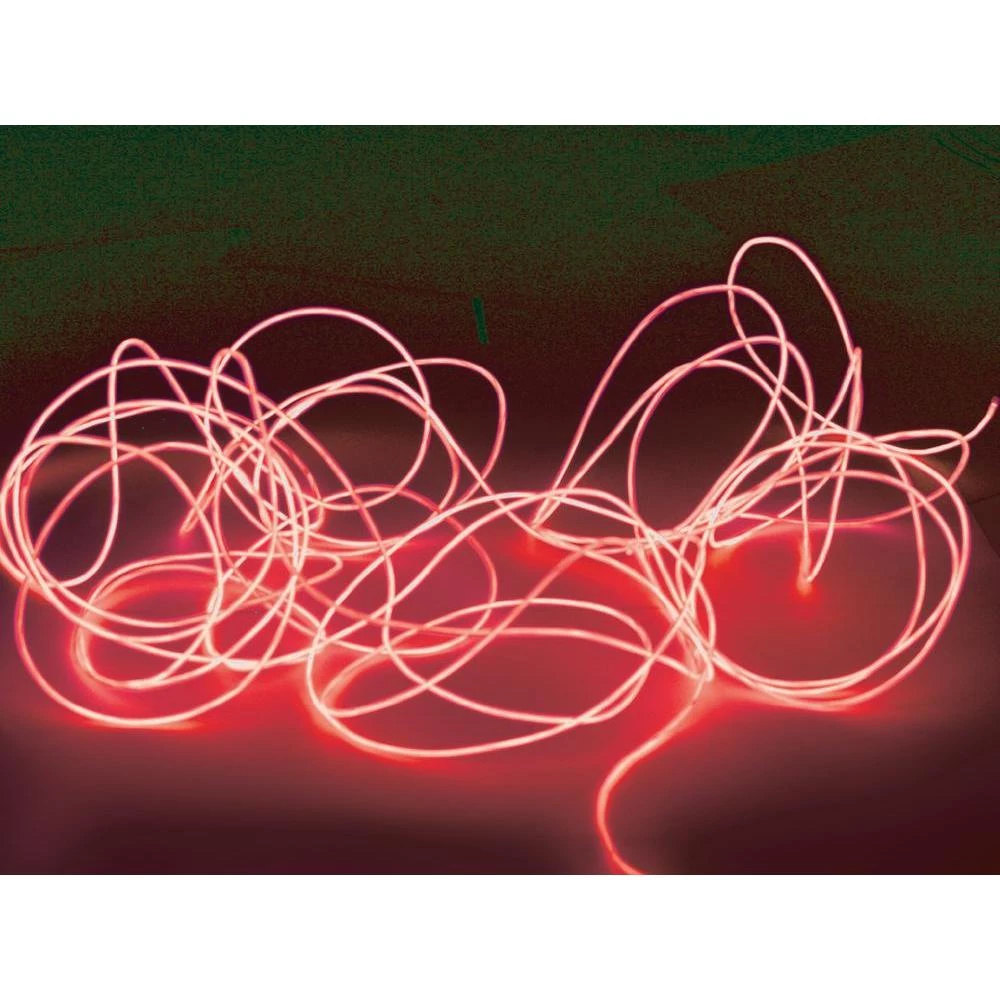 Elektroluminiscentna svjetlećažica slika