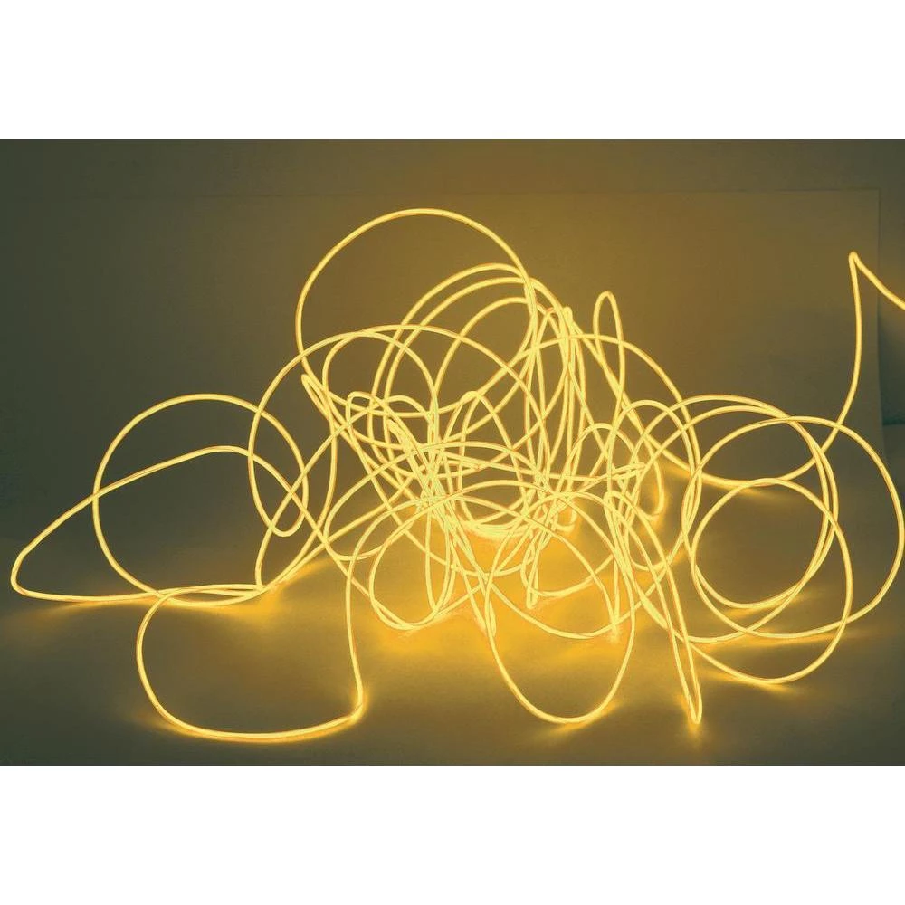 Elektroluminiscentna svjetlećažica slika