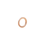 Bakreni Prsten za brtvljenje G3/4,48021306 Norgren