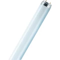 Fluorescentna sijalica Osram Lumilux T8, G13, 18 W, hladna bijela, cjevasti obli slika