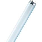 Fluorescentna sijalica Osram Lumilux T8, G13, 18 W, hladna bijela, cjevasti obli