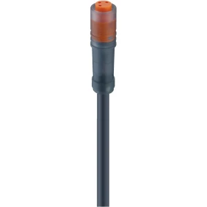 Priključni kablovi za senzor/aktor, ženski konektor M8, ravniRKM 4-07/5 M naranđ slika