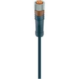 Priključni kablovi za senzor/aktor, konektor M8, ravni