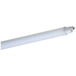 Schuch Primo 107 15L60 XR LED svjetiljka za vlažne prostorije  LED LED fiksno ugrađena 42 W neutralna bijela slika
