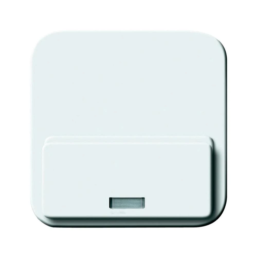 Središnja ploća za Busch-iDock Busch-Jaeger 8254-214, sniježno bijele boje slika