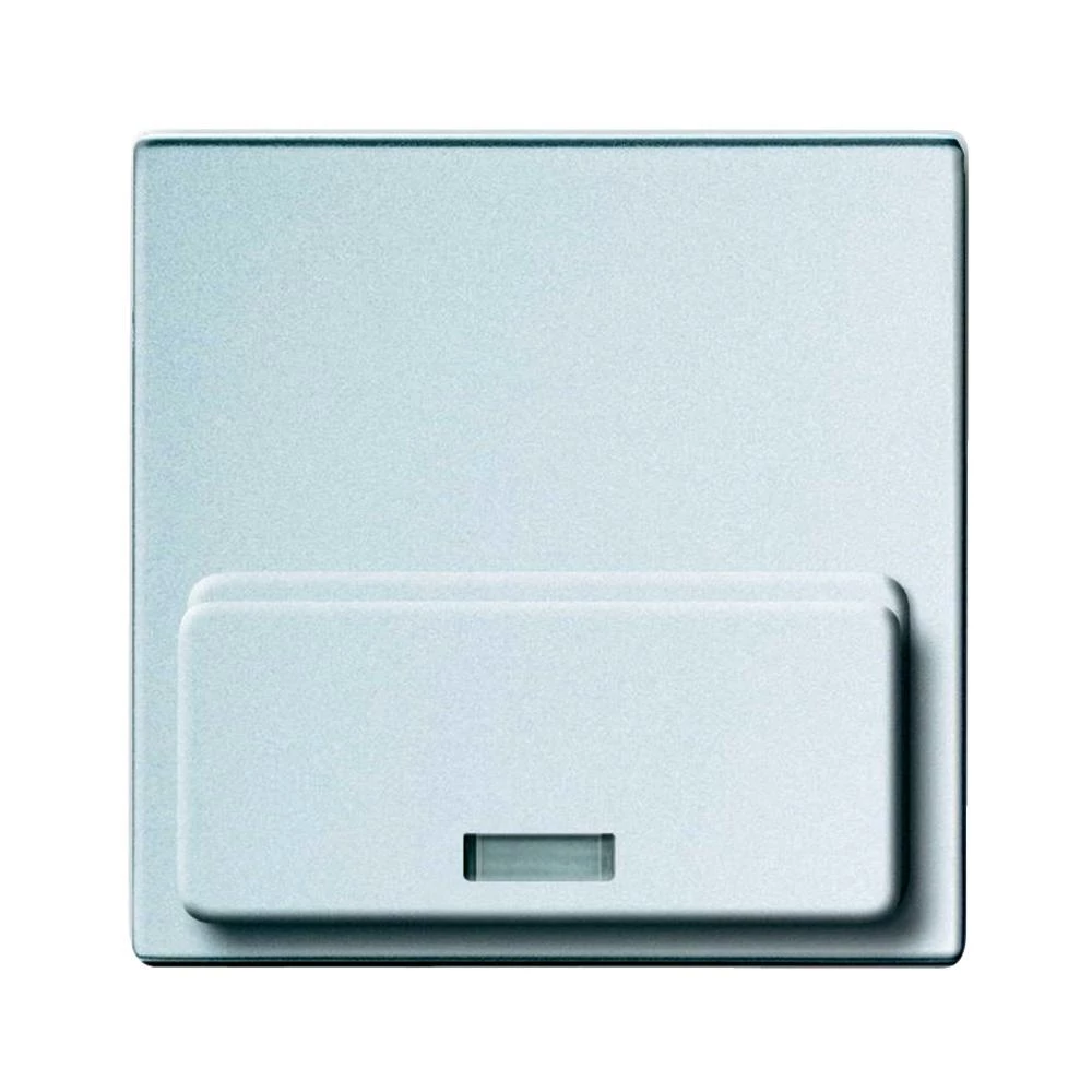 Središnja ploća za Busch-iDock Busch-Jaeger 8254-83, srebrne boje slika