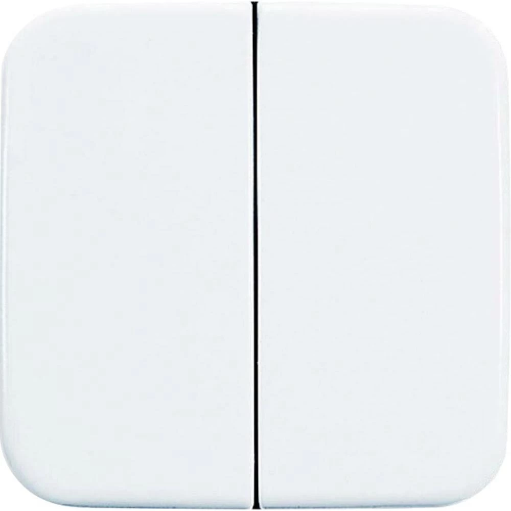 Plosnata tipka za serijski prekidač, bijela 2505-214 Busch-Jaeger slika