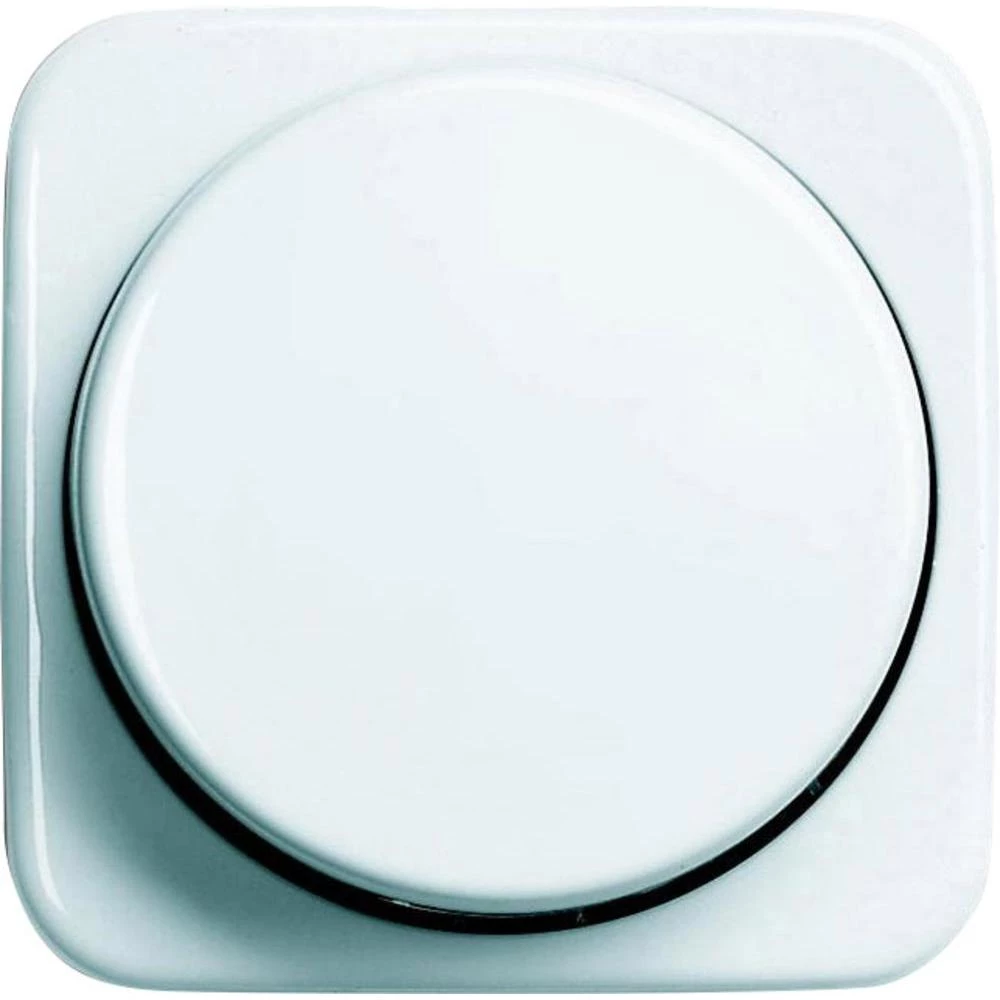 Središnja ploća sa vrtljivim dugmetom RE SI, alpine bijela 2115-214 Busch-Jaeger slika