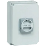 BACO 174161-Prekidač za razdvajanje sa zaključavanjem, 32A, 1x90°, siv, 3-polno