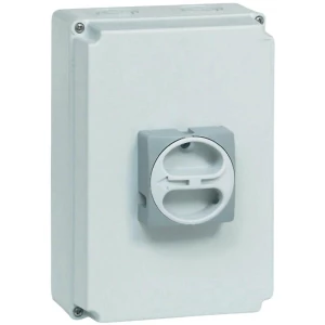 BACO 174161-Prekidač za razdvajanje sa zaključavanjem, 32A, 1x90°, siv, 3-polno slika