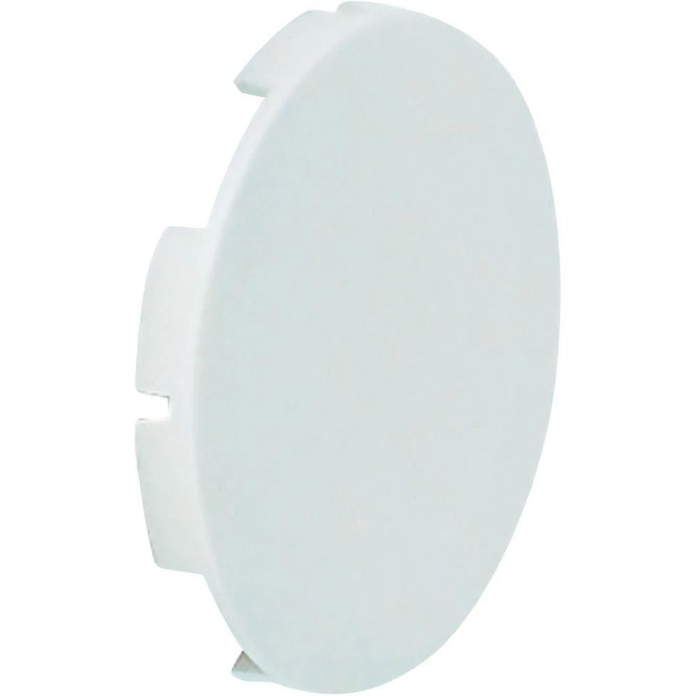 BACO LT20-Pločica za tipku bez oznake, zelena BALT20 slika