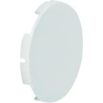 BACO LT50-Pločica za tipku bez oznake, bijela BALT50