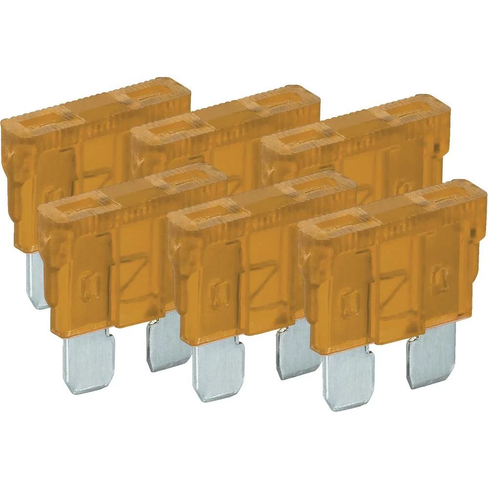 Standardni plosnati osigurač Wentronic, 5 A, 6 komada 20380 slika