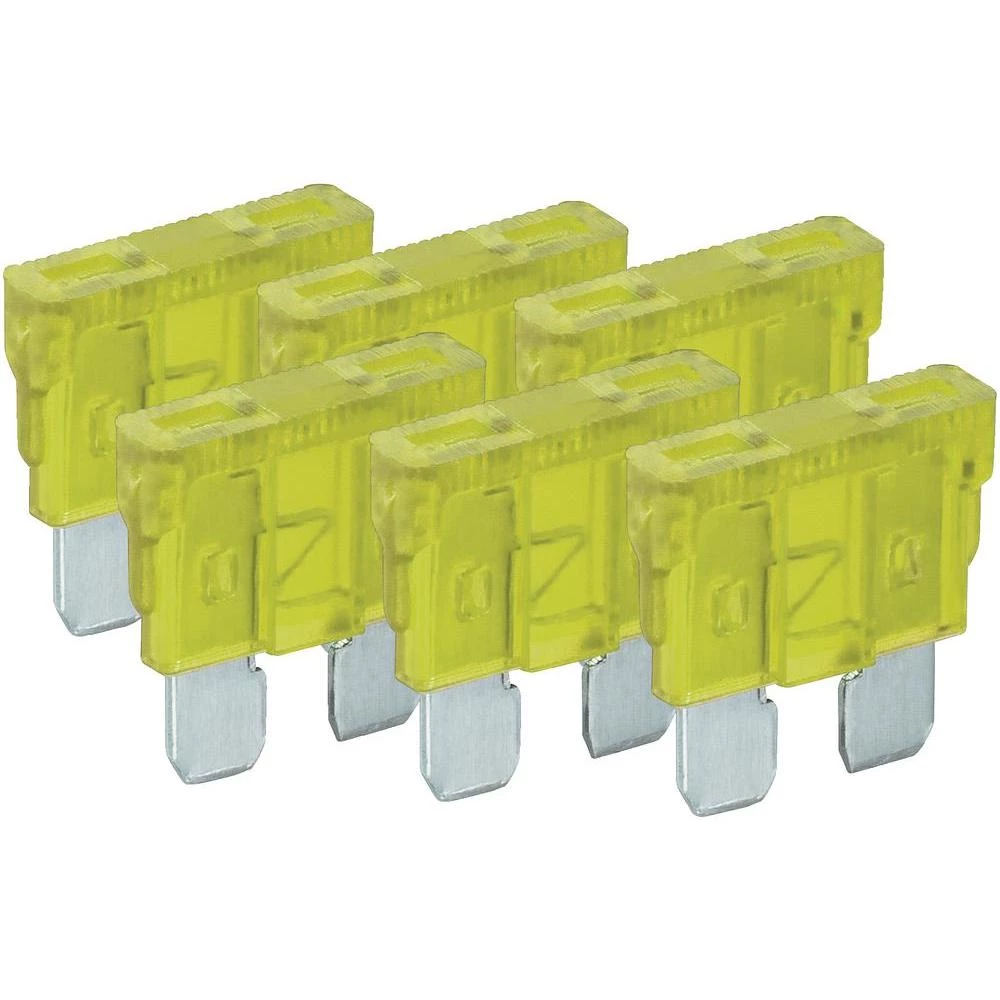 Standardni plosnati osigurač Wentronic, 20 A, 6 komada 20384 slika