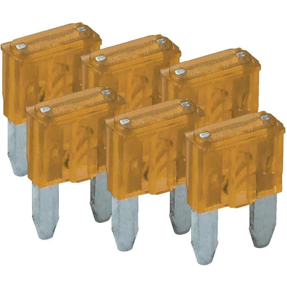 Mini plosnati osigurači Wentronic, 5 A, 6 komada 20387 slika