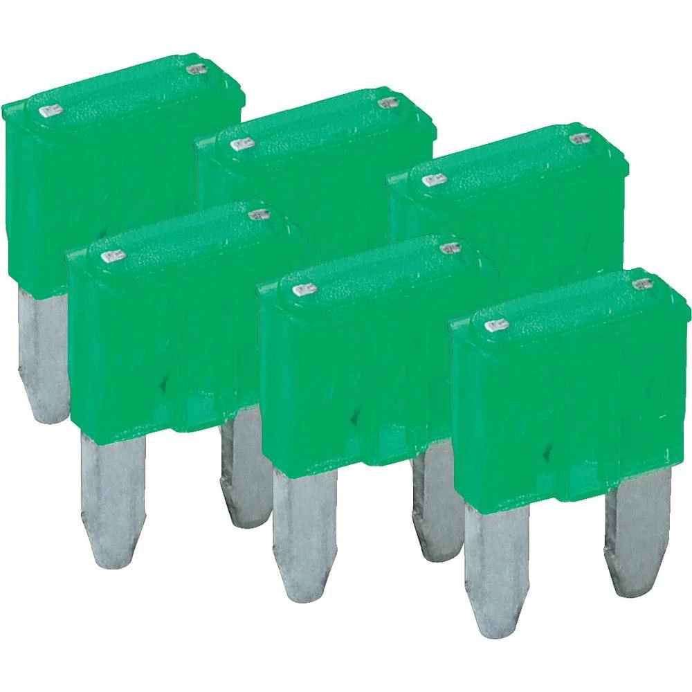 Mini plosnati osigurači Wentronic, 30 A, 6 komada 20393 slika