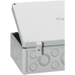 Spelsberg-AK Komplet vanjskihzglobova, ASS-groß, veliki