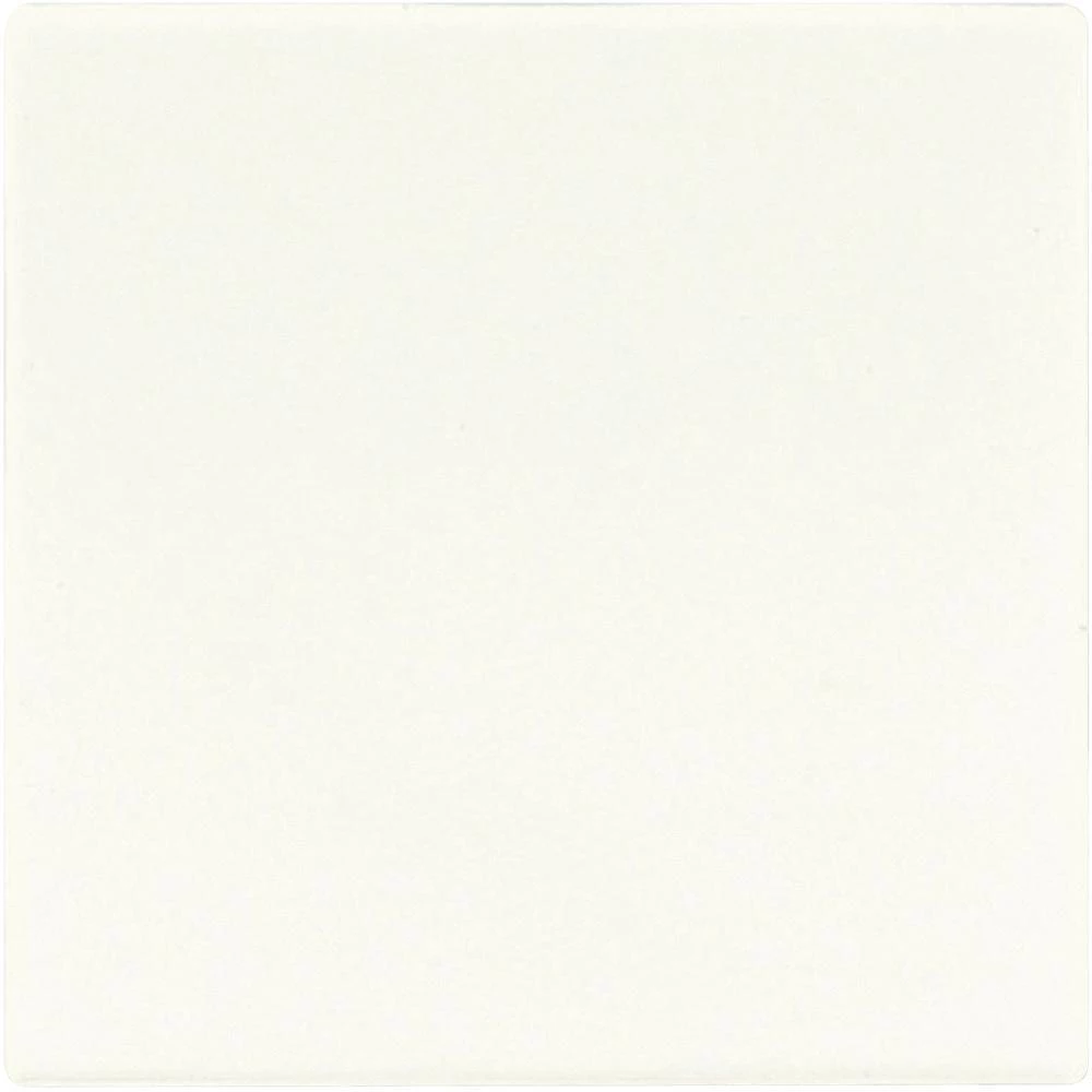 Jung poklopac prigušivača svjetla LS 990, LS design, LS plus alpsko bijela LS156 slika