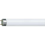 Štedna sIjalica Osram 590 mm 230 V G13 18 W dnevno svjetlo-bijela KEU: A Rasvjet