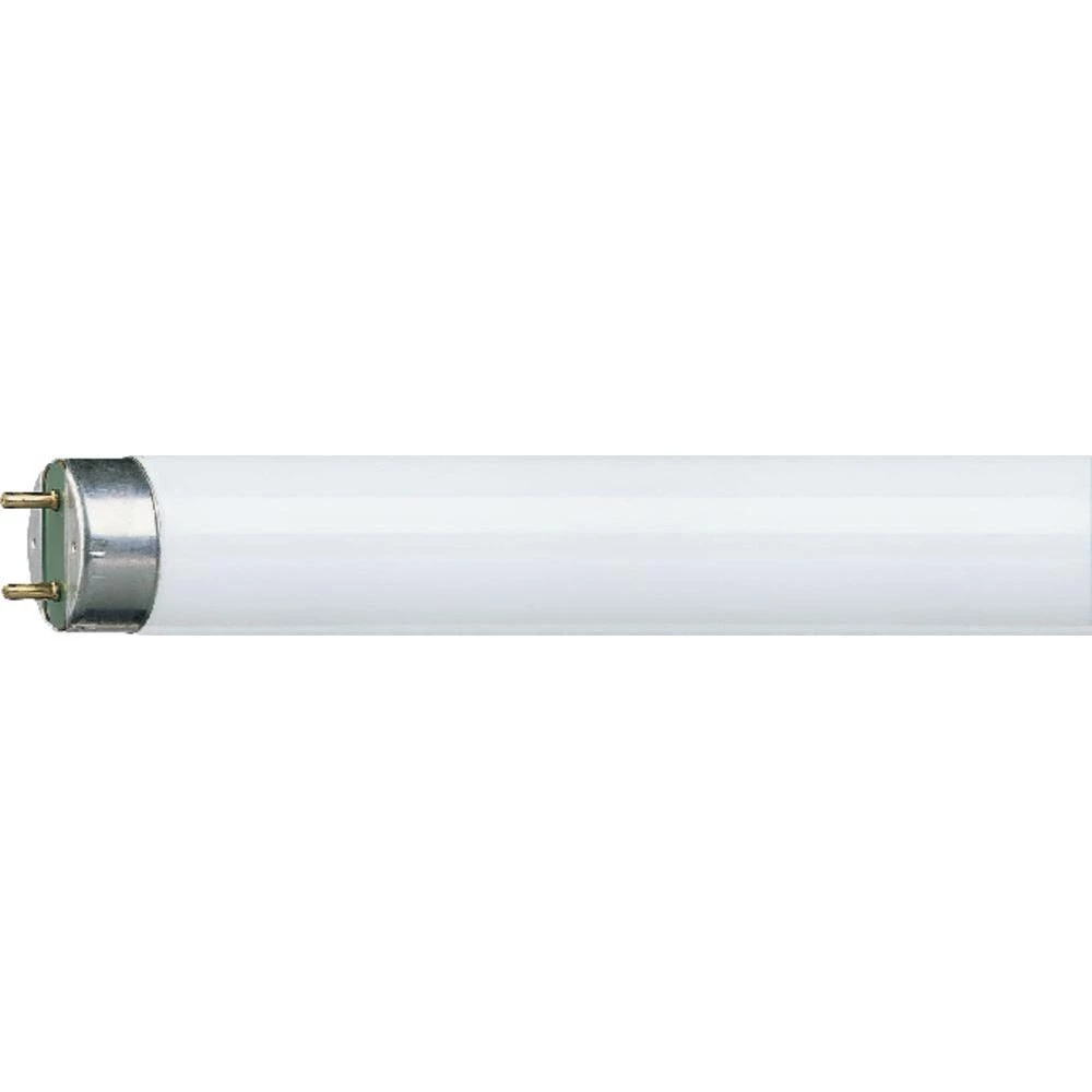 Štedna sIjalica Osram 1200 mm 230 V G13 36 W dnevno svjetlo-bijela KEU: A Rasvje slika