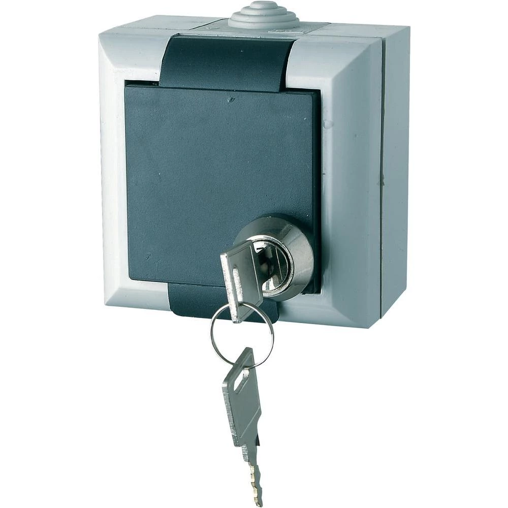 GAO šuko utičnica za vlažne prostorije, isključiva Business-Line siva EFO600G/K slika