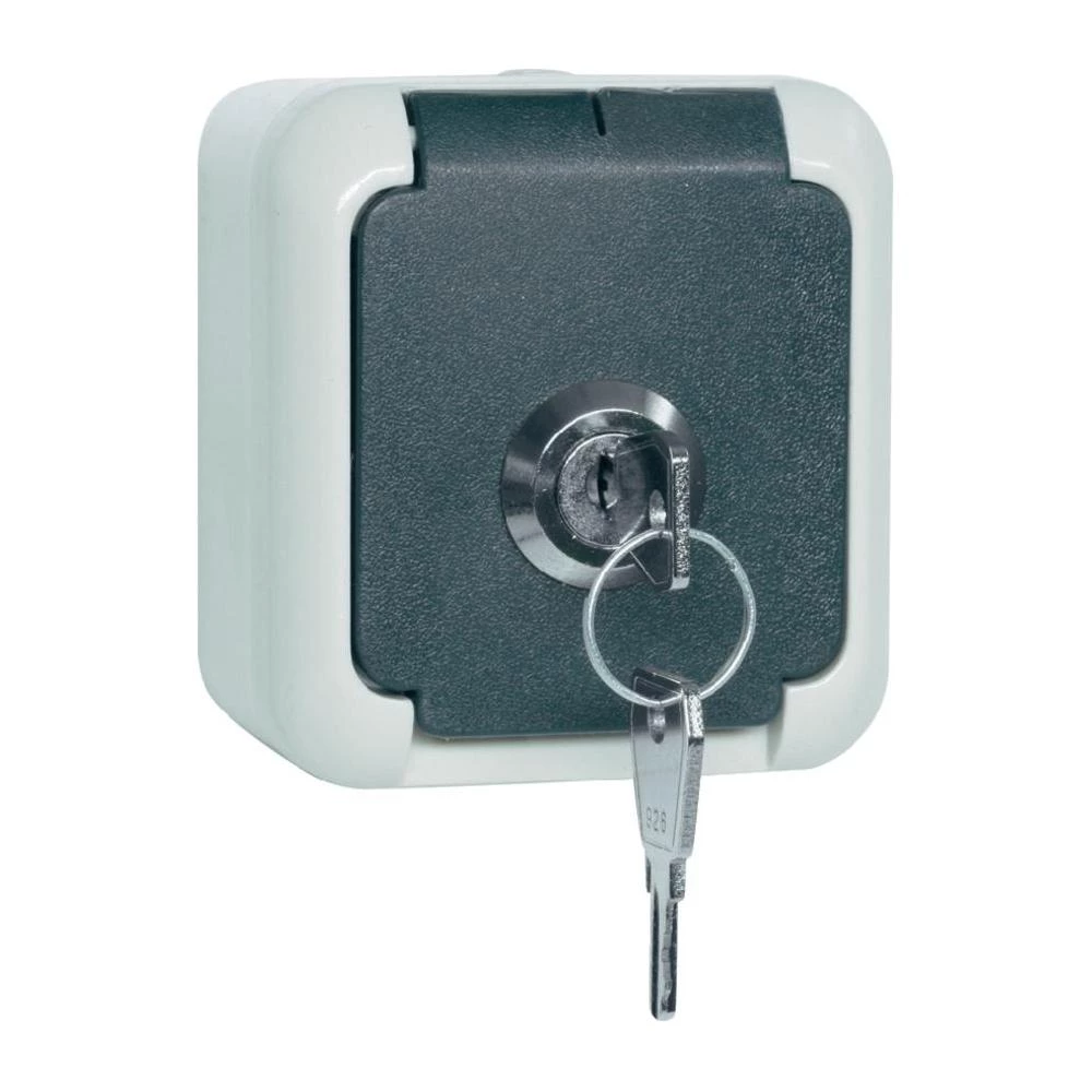 Nadžbukna utičnica za vlažne prostore s bravom 101787 siva IP44 slika
