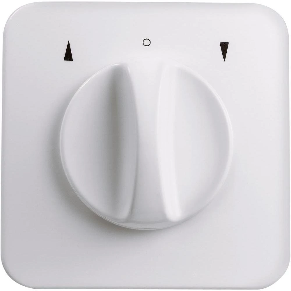 Kaiser Nienhaus prekidač za sjenila, nadžbukni 321117 slika