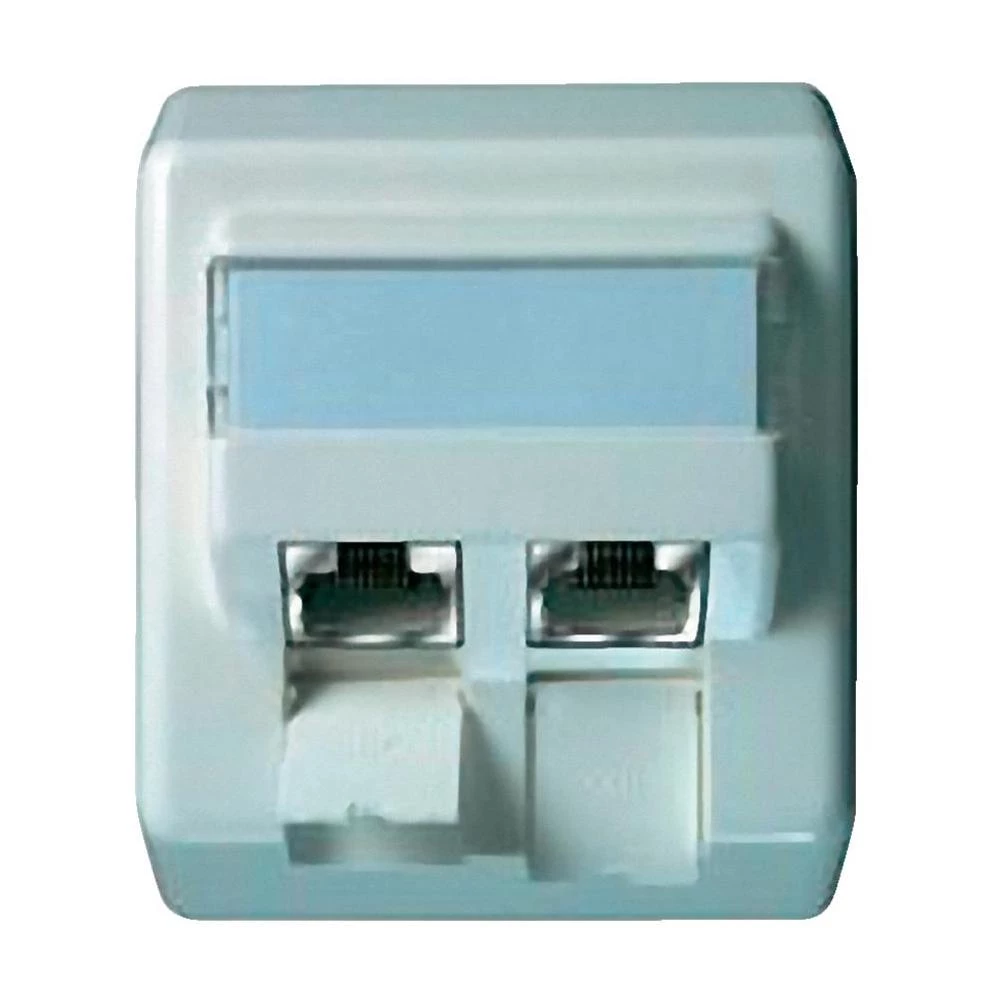 Nadzidna mrežna utičnica CAT 6A Telegärtner 2-portna biserno bijela slika