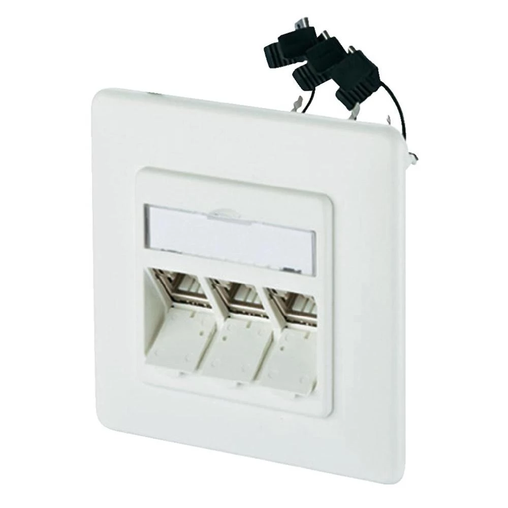 Ugradbena mrežna utičnica CAT 6A BTR Netcom, s centralnom pločom i okvirom 3-por slika