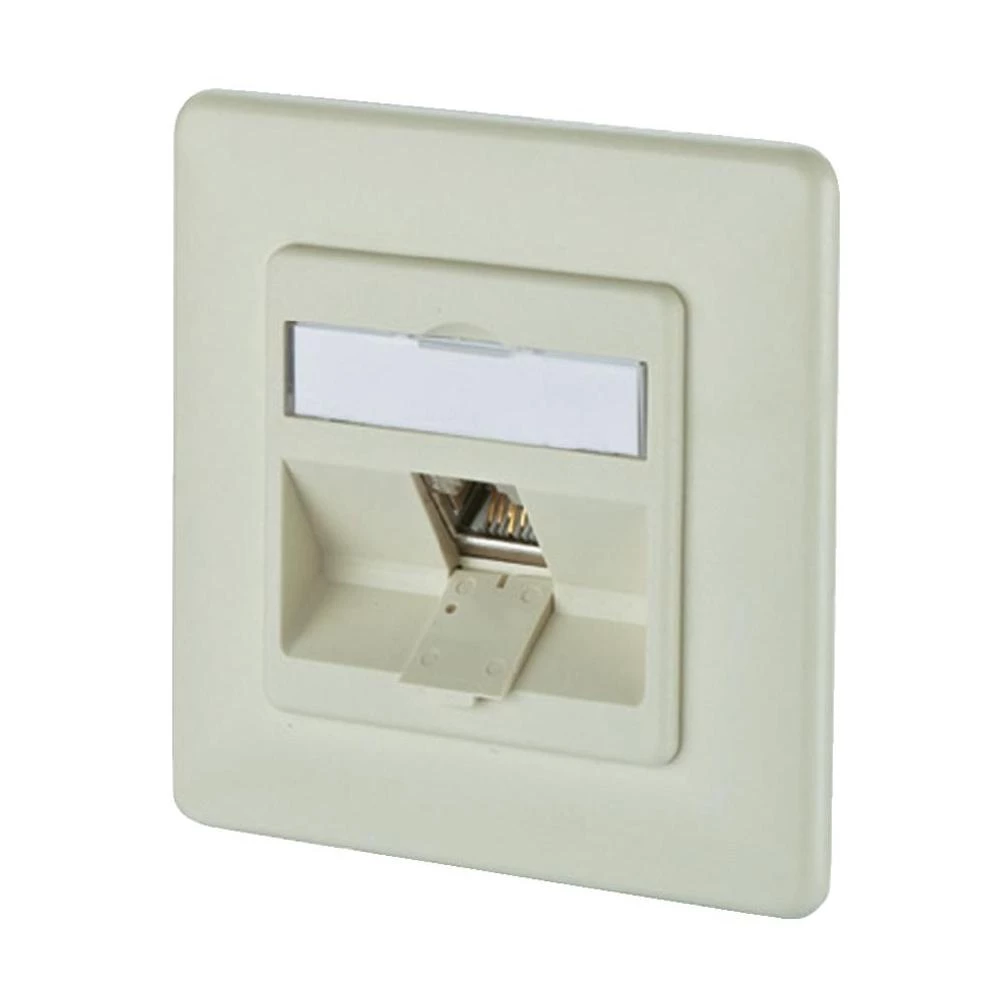 Ugradbena mrežna utičnica CAT 6A BTR Netcom, s centralnom pločom i okvirom 1-portna, biserno bijela slika