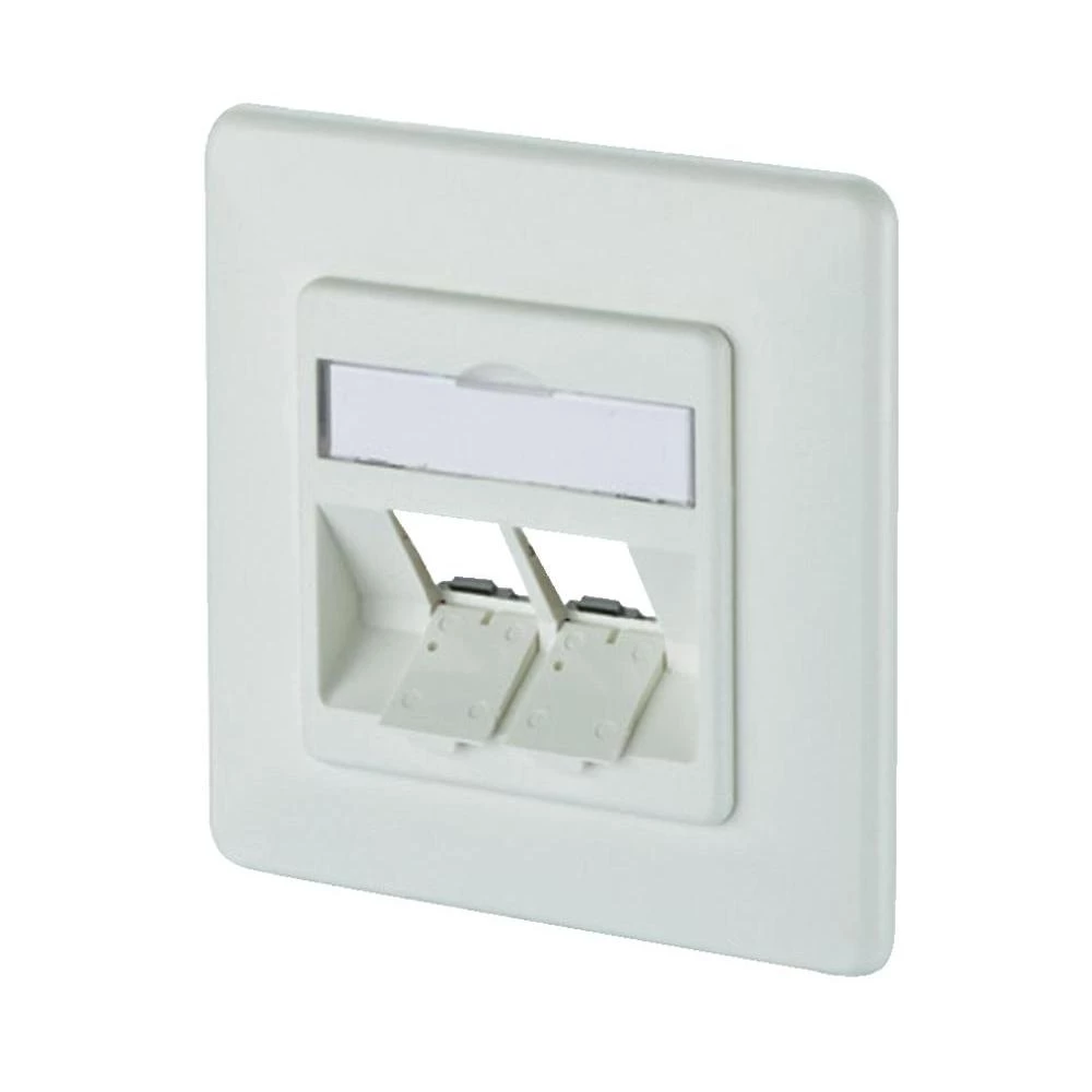 Ugradbena mrežna utičnica BTR Netcom, s centralnom pločom i okvirom, neopremljena 2-portna, slika