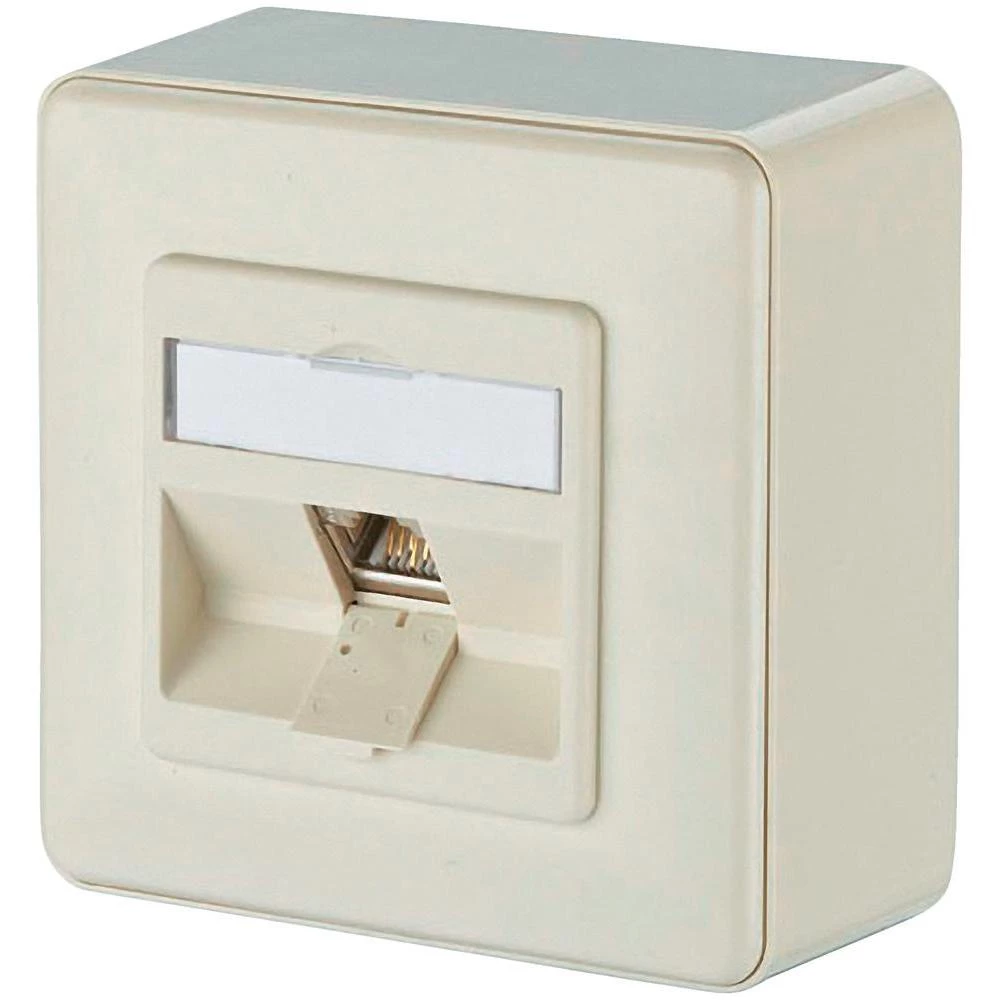 Nadzidna mrežna utičnica CAT 6 BTR Netcom 1-portna biserno bijela slika