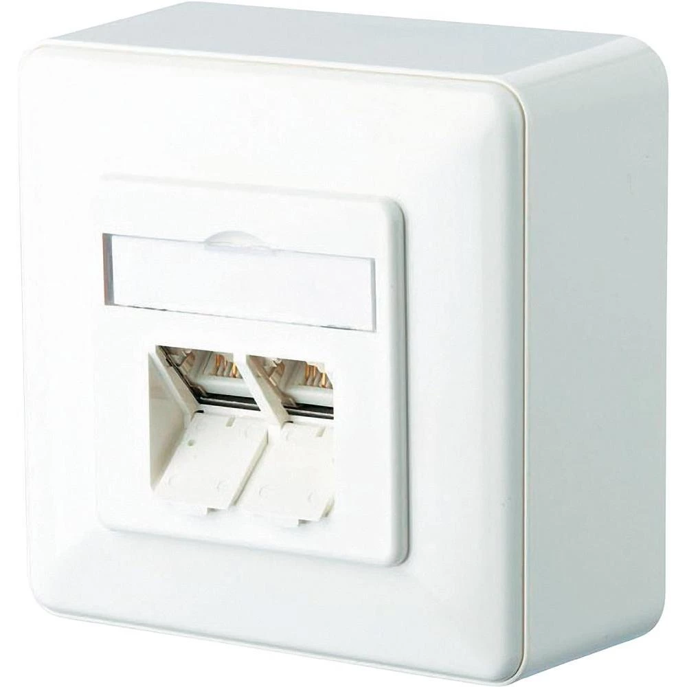 Nadzidna mrežna utičnica CAT 6 BTR Netcom 2-portna snježno bijela slika