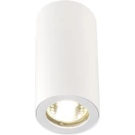 Stropna svjetiljka Enola_B SLV, halogena, LED GU10 35 W 151811 bijela