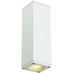 Vanjska zidna svjetiljka TheoUp & Down SLV 229531 GU10 bijela