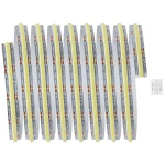 MaxLED 1000 LED traka Full-Line COB jedna traka 2,5 m 23,5 W 1200 lm/m 672 LEDs/m Podesiva bijela Paulmann MaxLED 1000 71116 LED traka-produžetak 2500 mm toplo bijela