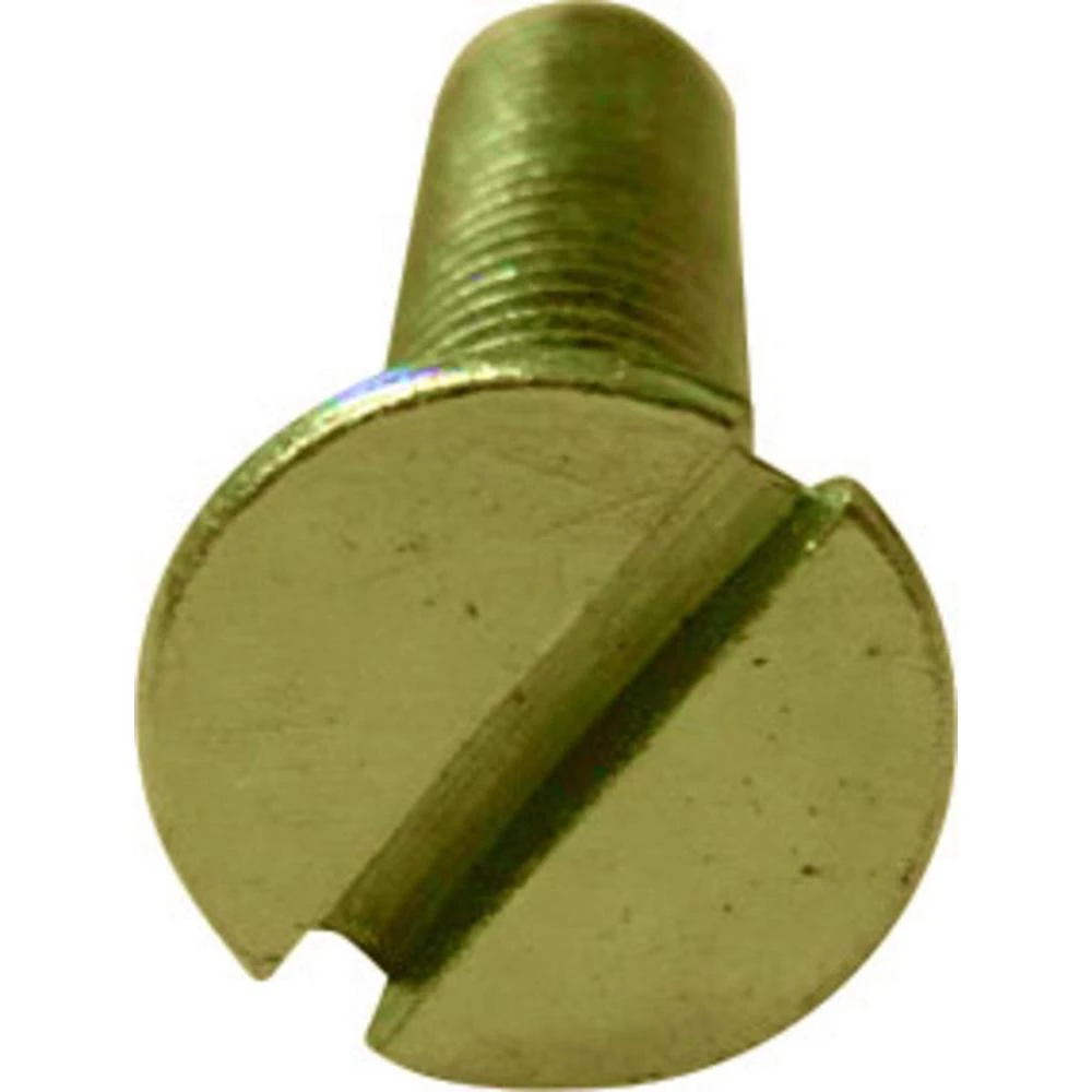 Metrički vijak TOOLCRAFT 194819, M2, 6mm, zarez, DIN963, galvanizirani čelik, 10 slika