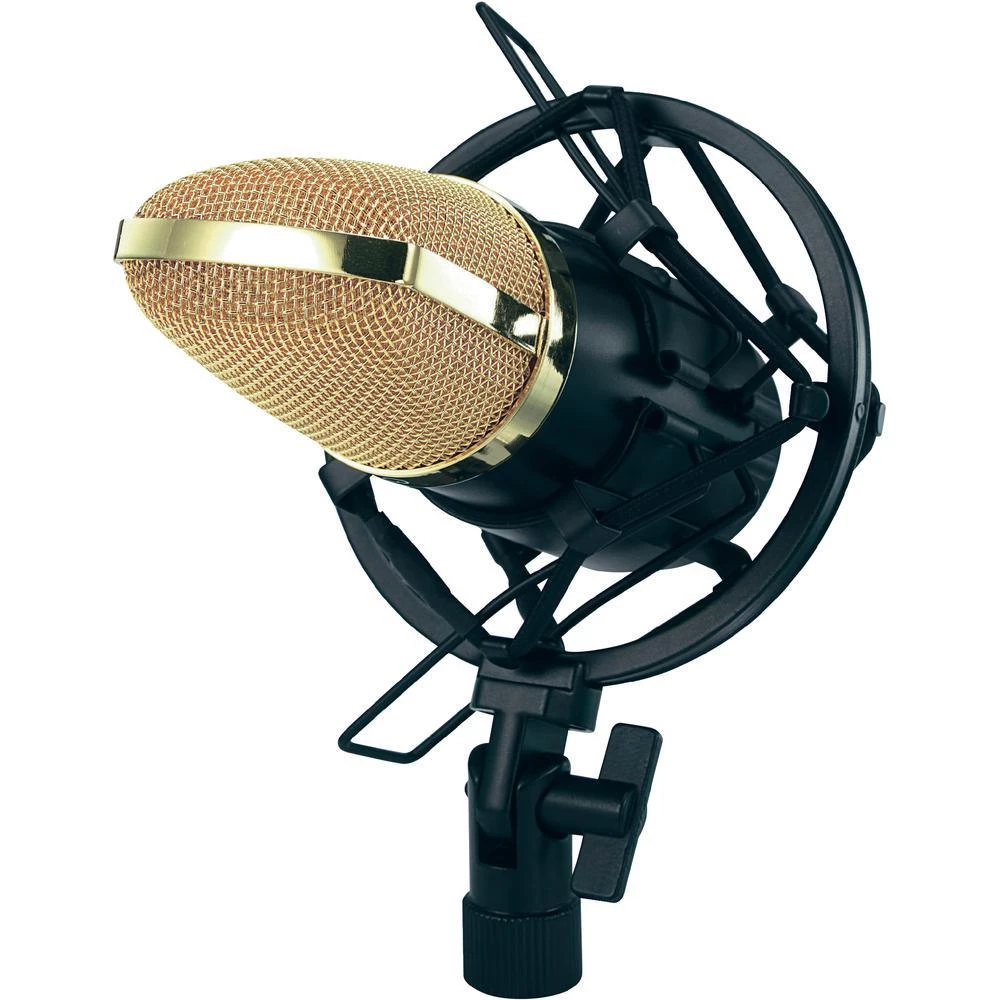 Profesionalni studijski mikrofon BM-700 Renkforce slika