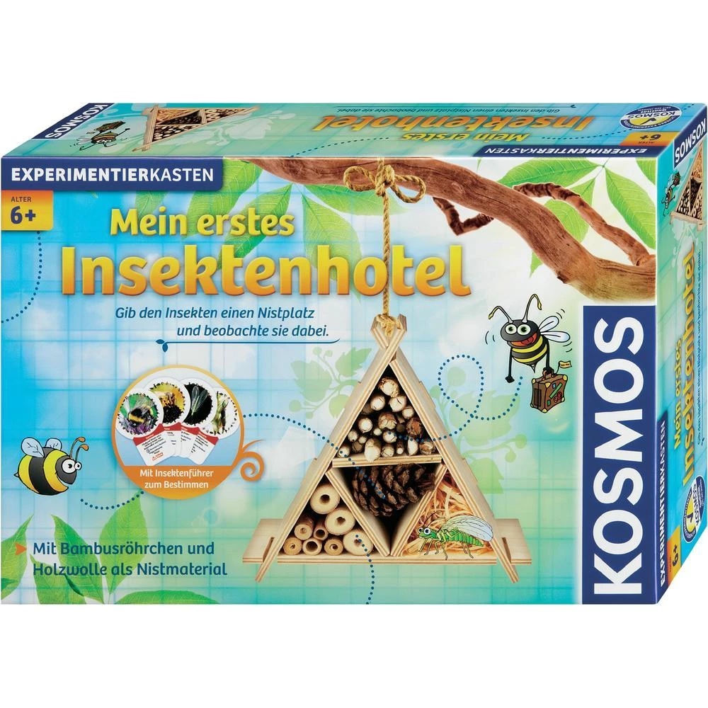 Eksperimentalna kutija Kosmos 633042 od 6 godina slika