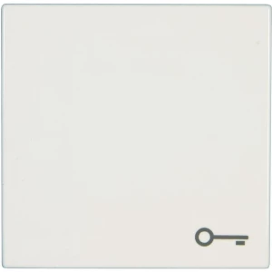 Jung poklopac sa simbolom ''Ključ'' LS 990, LS design, LS plus alpsko bijela LS slika