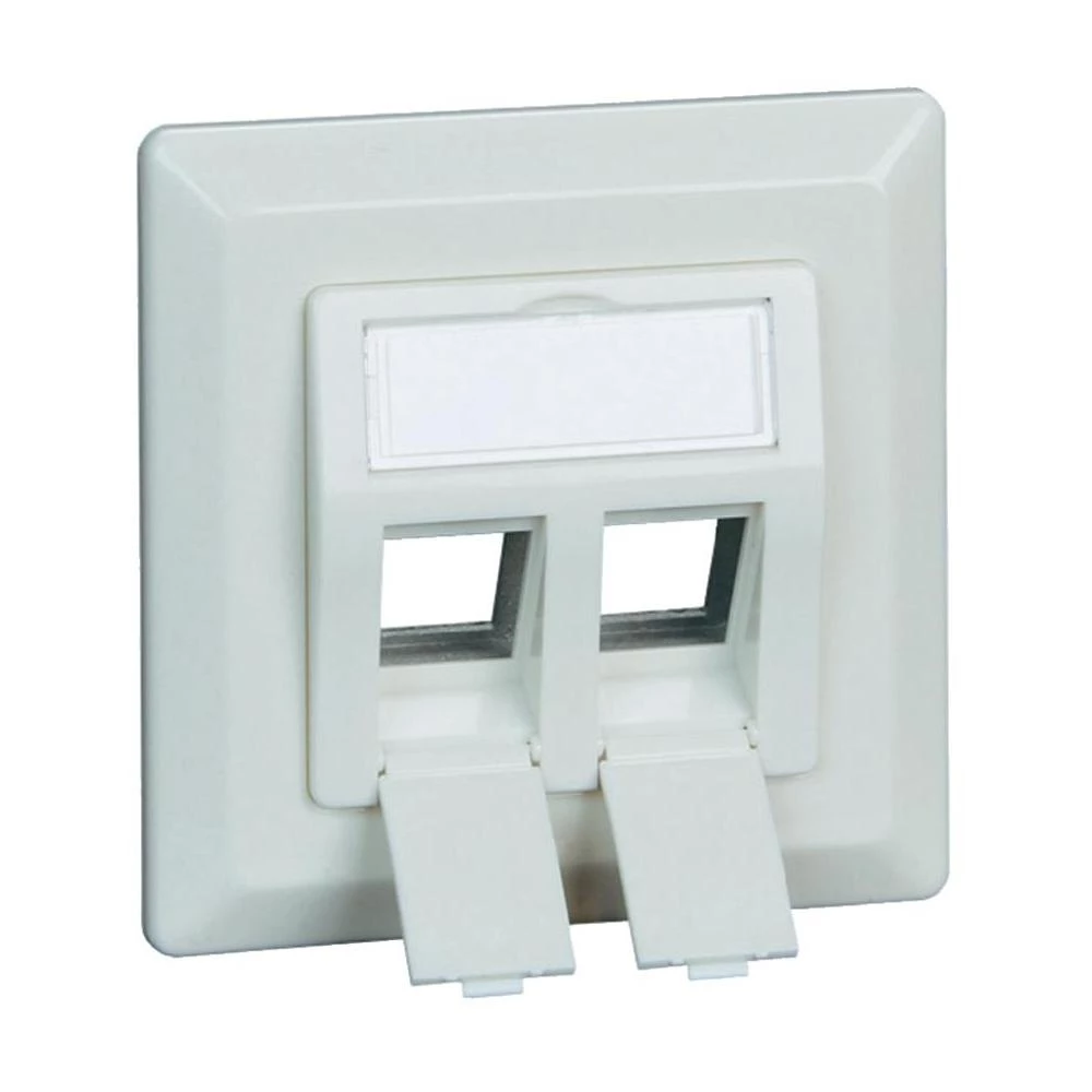 Ugradbena mrežna utičnica BTR Netcom s centralnom pločom i okvirom 2-portna, bij slika