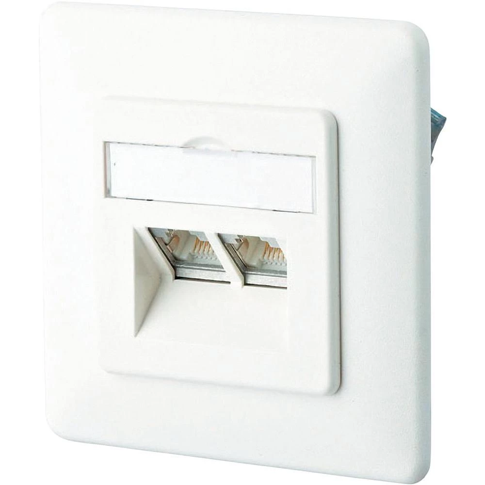 Ugradbena mrežna utičnica BTR Netcom, s centralnom pločom i okvirom, neopremljen slika