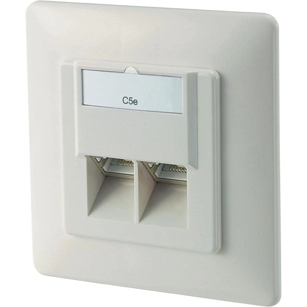 Ugradbena mrežna utičnica CAT 5e Digitus, s centralnom pločom i okvirom, 2-portn slika