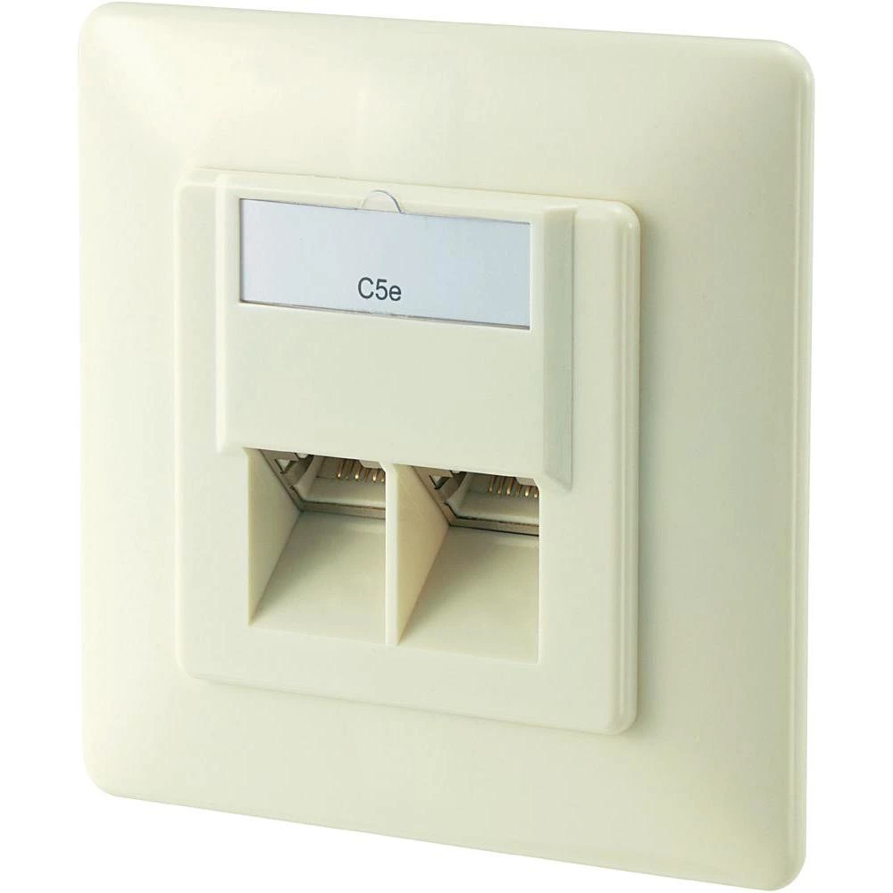 Ugradbena mrežna utičnica CAT 5e Digitus, s centralnom pločom i okvirom, 2-portn slika