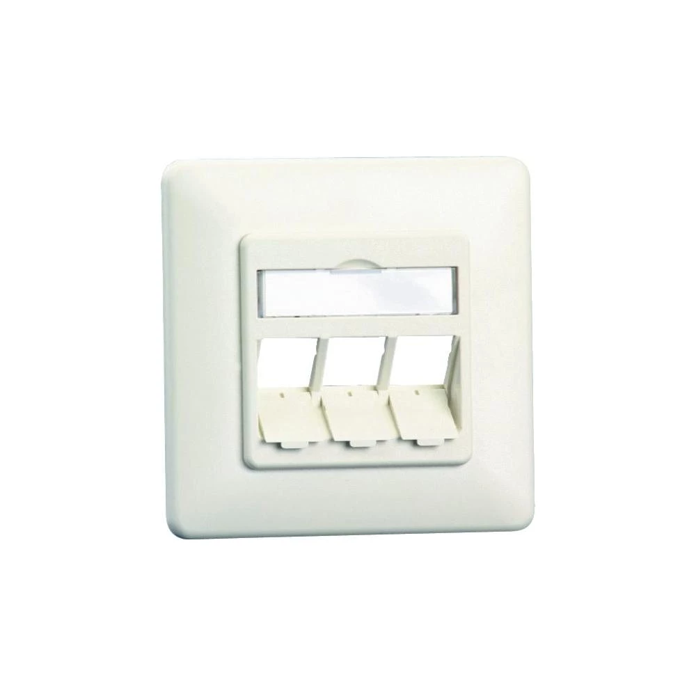 Ugradbena mrežna utičnica CAT 6A BTR Netcom, s centralnom pločom i okvirom 3-por slika