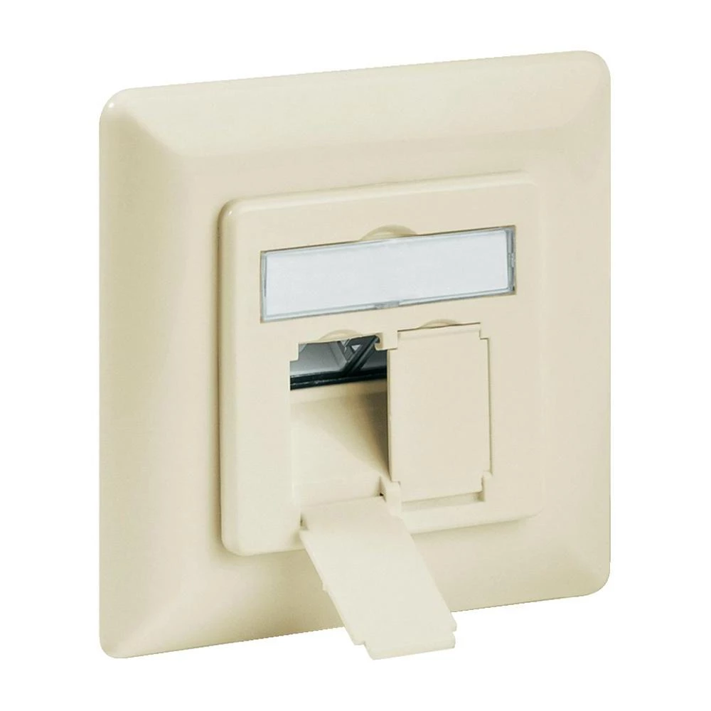 Ugradbena mrežna utičnica CAT 6A Goobay, s centralnom pločom i okvirom 2-portna, slika