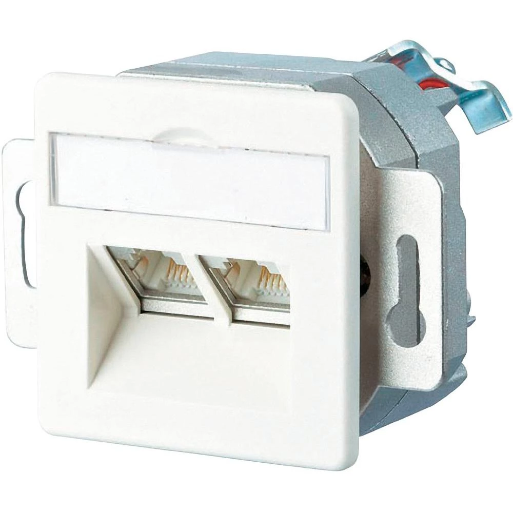 Ugradbena mrežna utičnica BTR Netcom s centralnom pločom, neopremljena 2-portna, slika