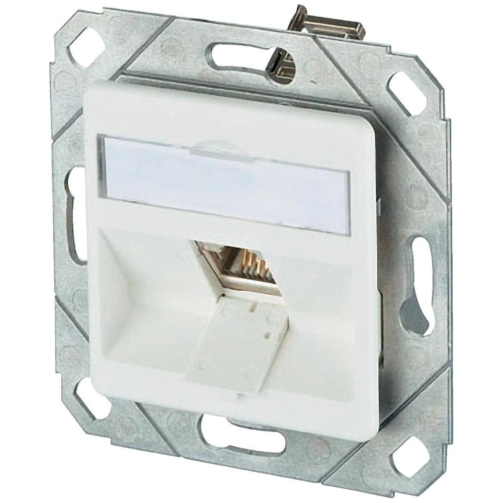 Ugradbena mrežna utičnica CAT 6 BTR Netcom, s centralnom pločom 1-portna snježno slika